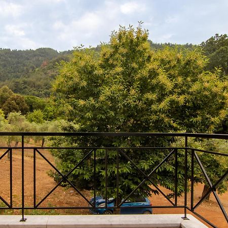 Evergreen Thassos Skala Potamia  Buitenkant foto