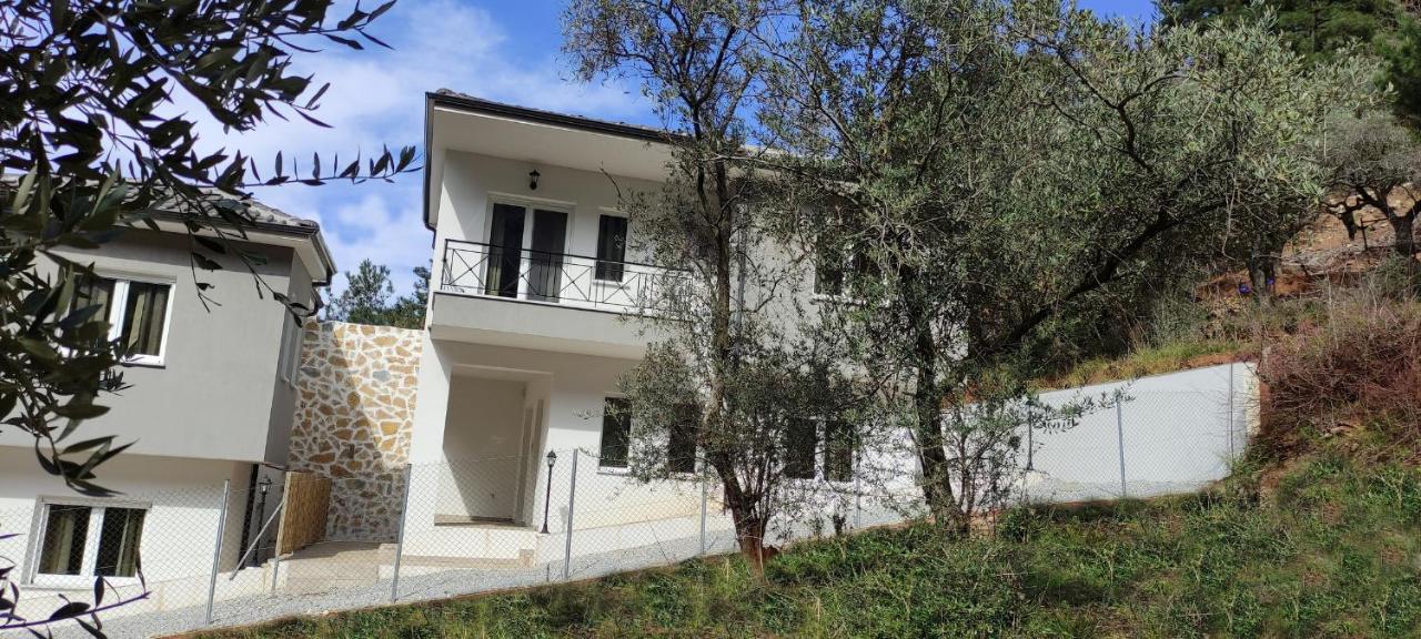 Evergreen Thassos Skala Potamia  Buitenkant foto