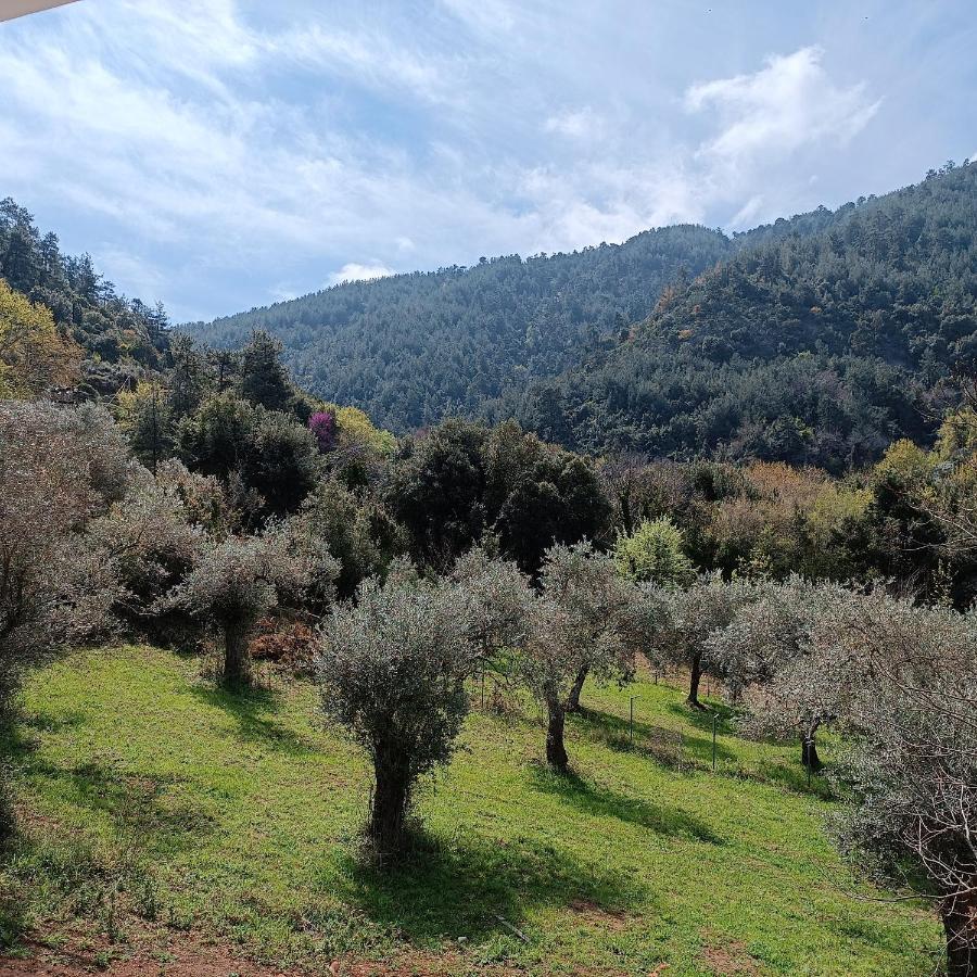 Evergreen Thassos Skala Potamia  Buitenkant foto